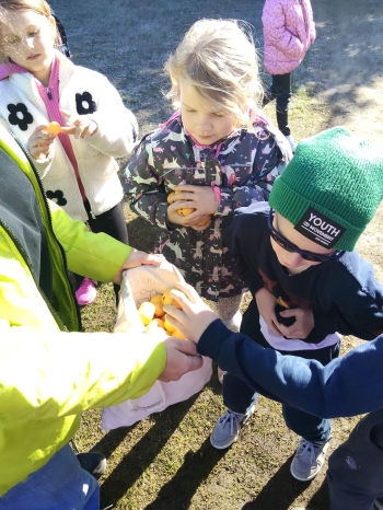 WhatsApp Image 2026-04-01 at 09.55.1196.jpeg