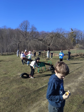 WhatsApp Image 2026-04-01 at 09.55.1293.jpeg