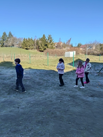 WhatsApp Image 2026-04-01 at 09.55.1487.jpeg