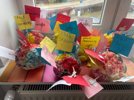 Kalafiorowe mózgi w klasie 2