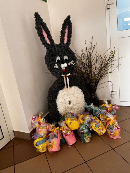 Szukanie zajączka grupy Jeżyków i Zajączków